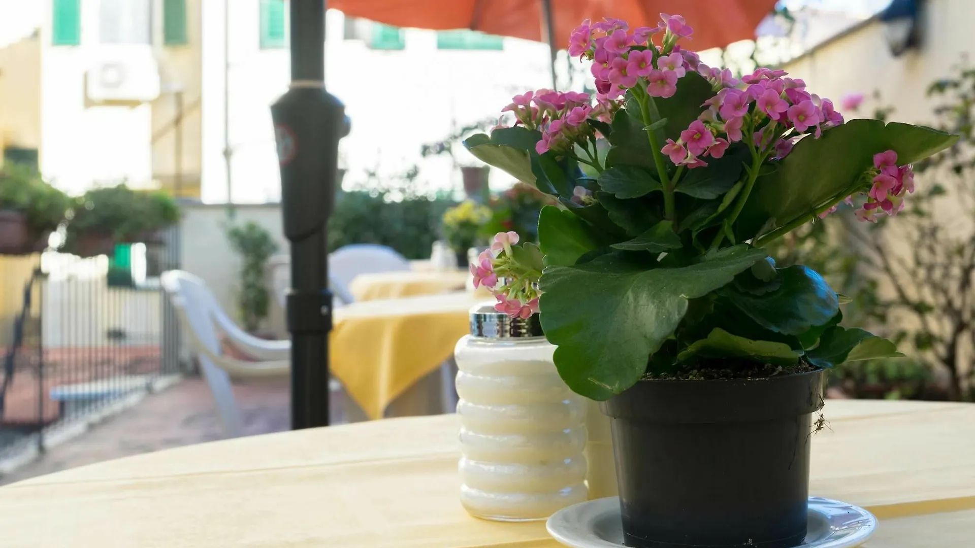 Hotel Monica Florença